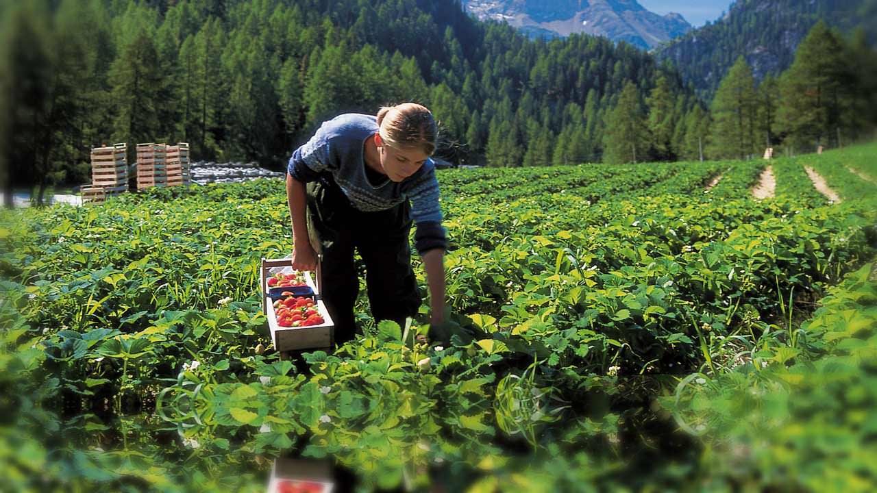 Marteller Bergluft macht hungrig