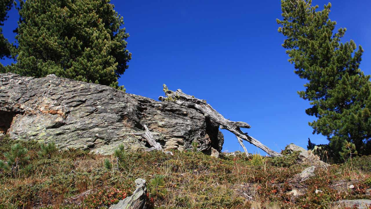 Meteo in Val Martello