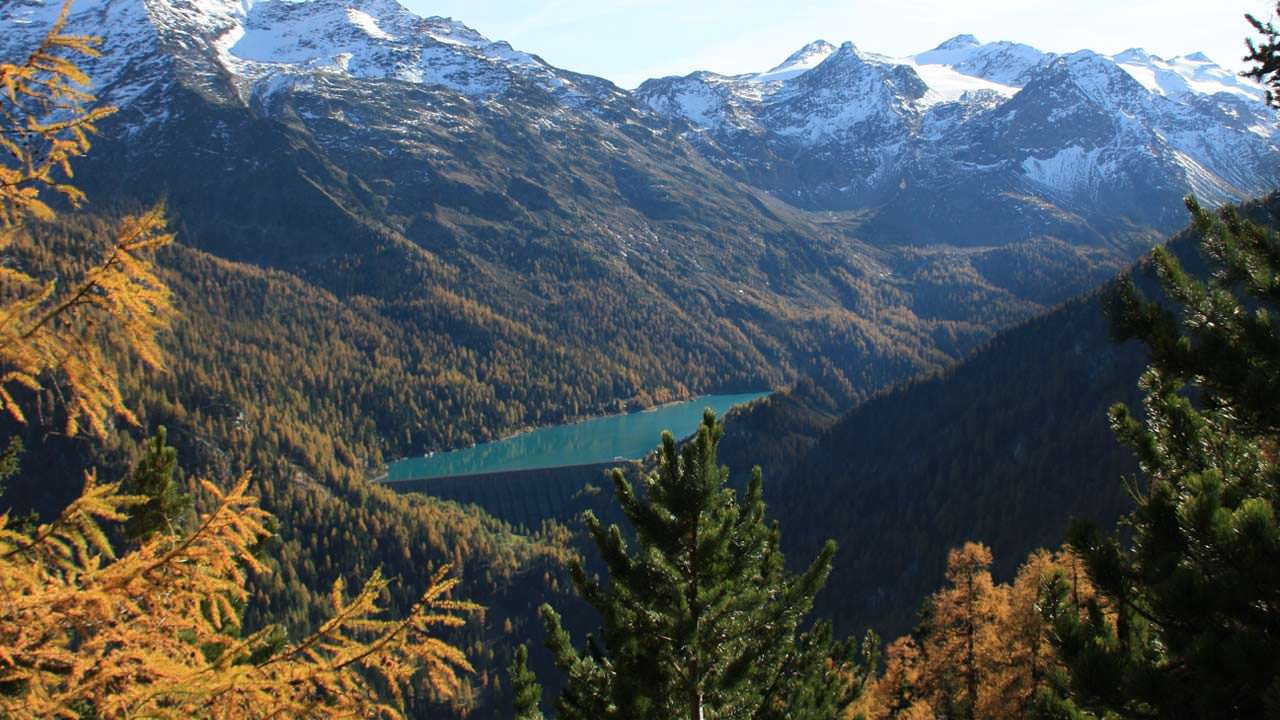 Bewegend schöner Sommer auf der Lyfi Alm