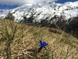 Start in die Sommersaison